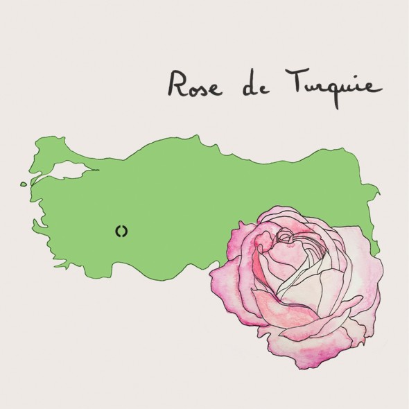 La rose chez CARON